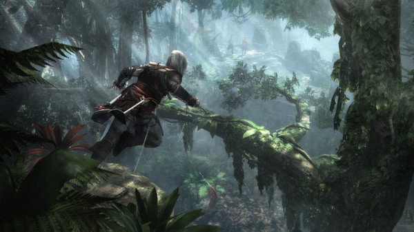 Assassin’s Creed IV Black Flag screenshot 5