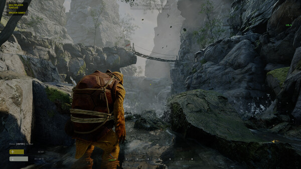 Multiplayer Turtles screenshot 4