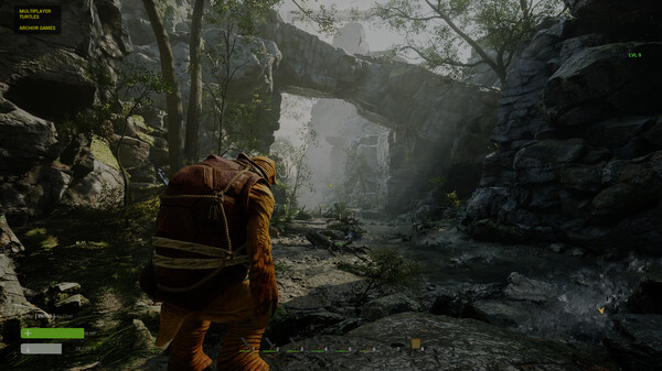 Multiplayer Turtles screenshot 7