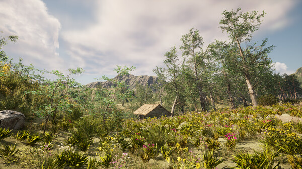 Sounds of Nature screenshot 7