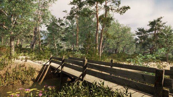 Sounds of Nature screenshot 10