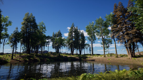 Sounds of Nature screenshot 2