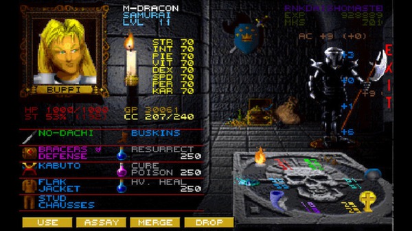 Wizardry 7: Crusaders of the Dark Savant screenshot 5