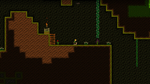 Mad Miner screenshot 5