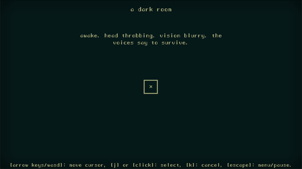 A Dark Room ® screenshot 1