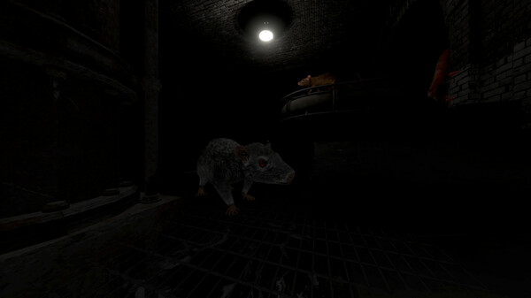 Scamper screenshot 4