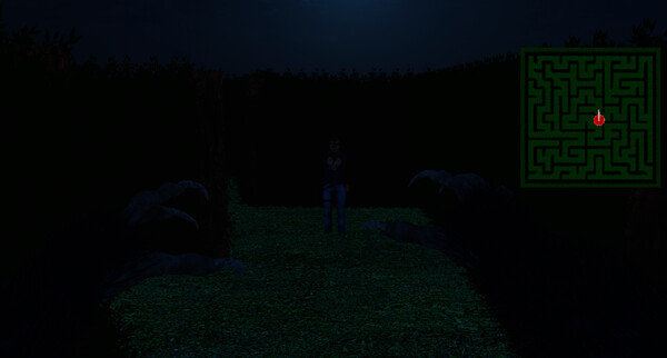 Nightmare Labyrinth screenshot 6