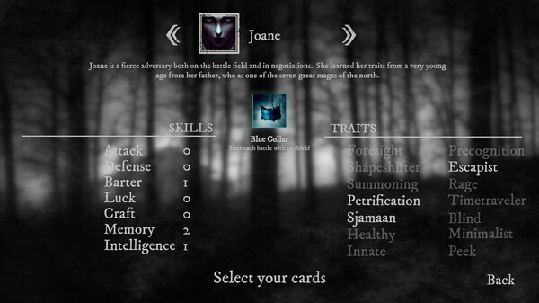 Runes of Aereal screenshot 6