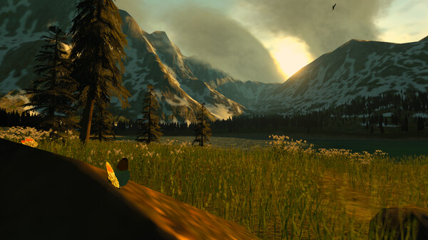 Lepidoptera screenshot 3