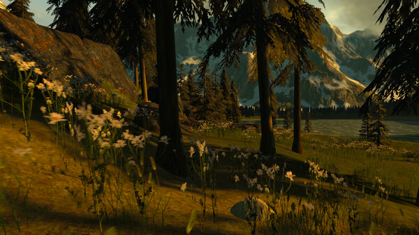 Lepidoptera screenshot 2