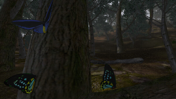 Lepidoptera screenshot 12