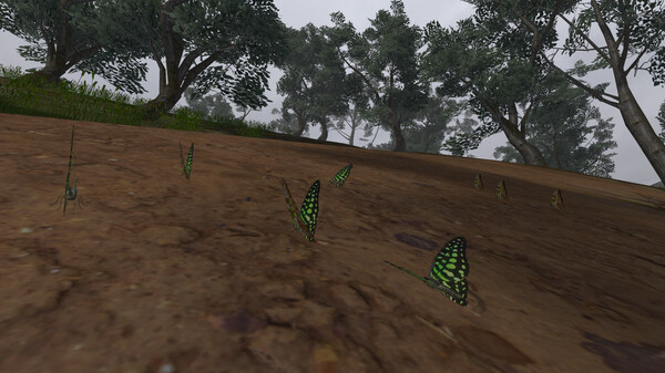 Lepidoptera screenshot 11