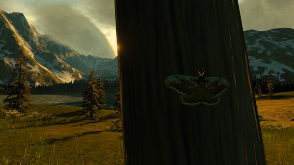 Lepidoptera screenshot 5