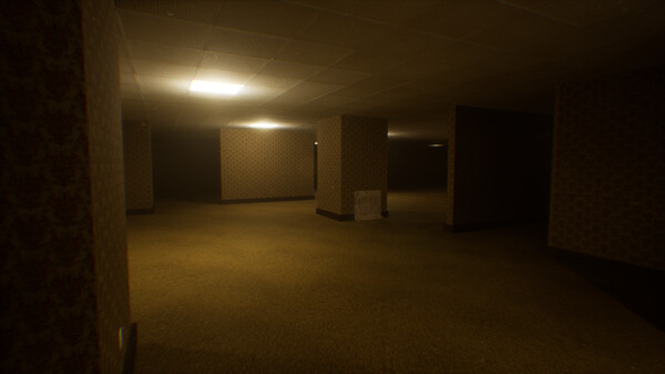 Deja Vu : The Backrooms screenshot 5