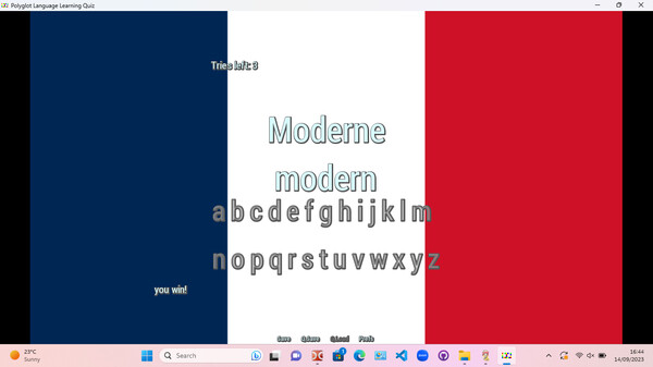 Polyglot Language Learning Quiz screenshot 7