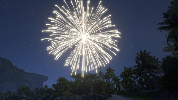 Set Off Fireworks Together screenshot 7