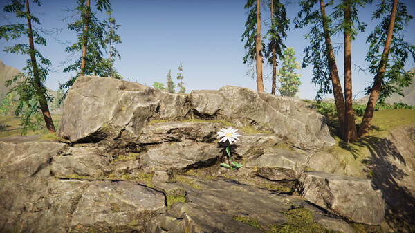Flower Simulator screenshot 3