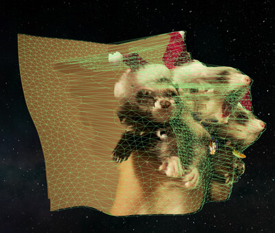 AutoDepth Image Viewer screenshot 3