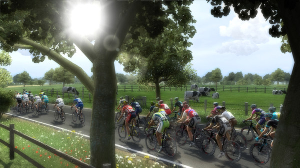 Pro Cycling Manager 2014 screenshot 7