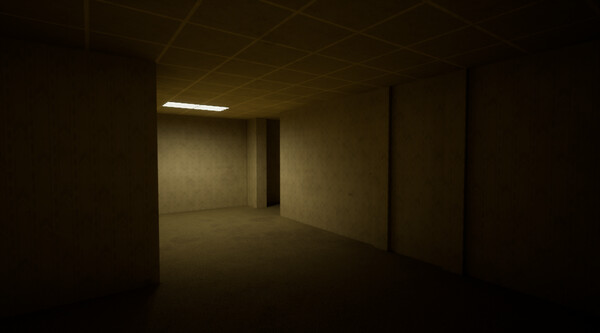 The Backrooms Deluxe screenshot 3