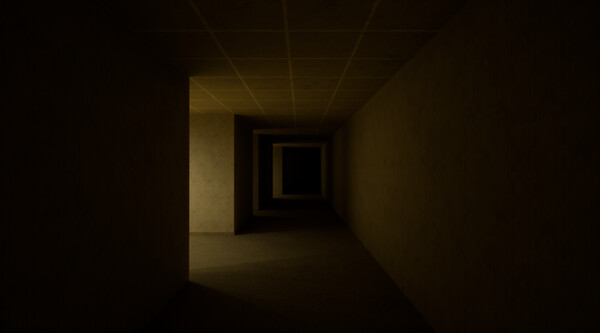 The Backrooms Deluxe screenshot 5