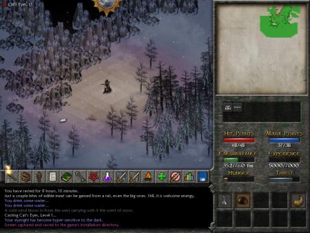 Eschalon: Book II screenshot 2