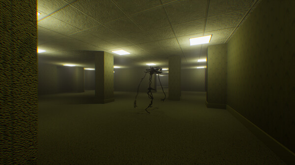 The Backrooms Recorded screenshot 1