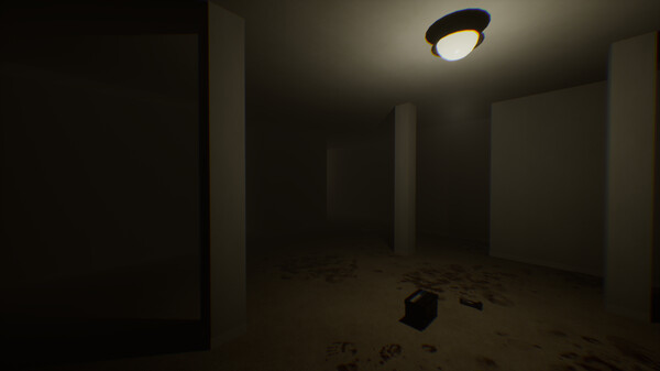 The Backrooms Recorded screenshot 9