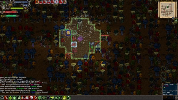 Tales of Maj'Eyal screenshot 10