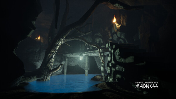 Noah's Descent into Madness screenshot 2