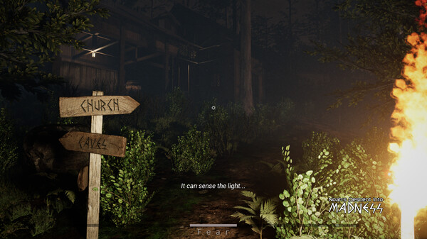 Noah's Descent into Madness screenshot 1