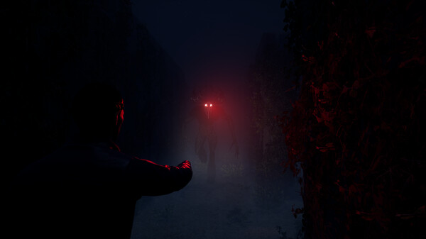 The Path to Memento Mori screenshot 2