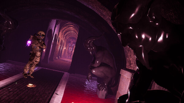 Avium screenshot 9