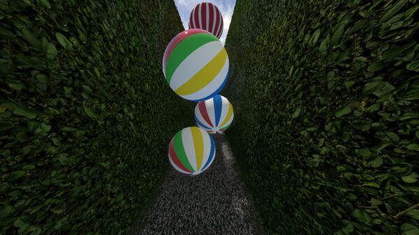 Chasing Chickens screenshot 3