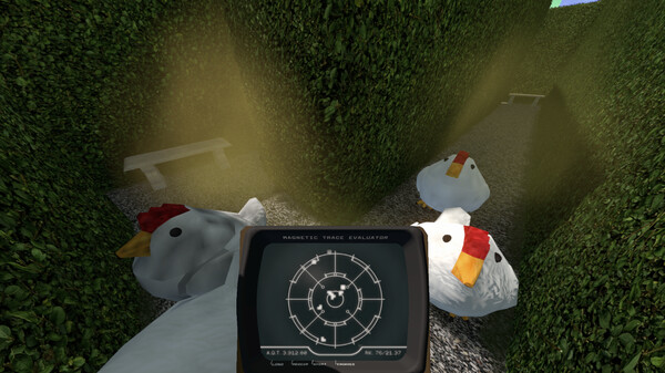 Chasing Chickens screenshot 7