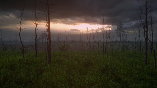 Birch Simulator screenshot 11