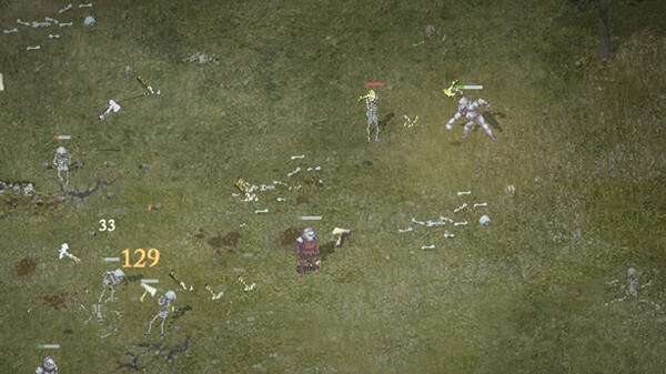 DRUID screenshot 3