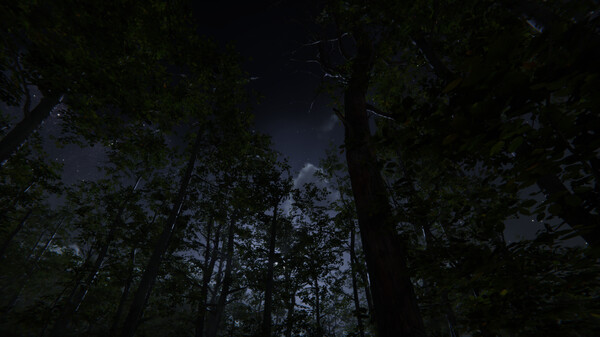 Camping Vlog Simulator 2024 screenshot 8