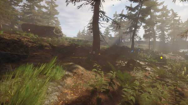 Gnarly Hike screenshot 12