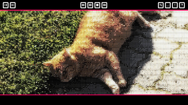 Push The Cat with WASD screenshot 3