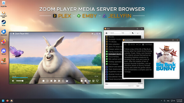 Zoom Player : Steam Edition screenshot 11