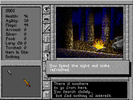 Prophecy of the Shadow screenshot 8