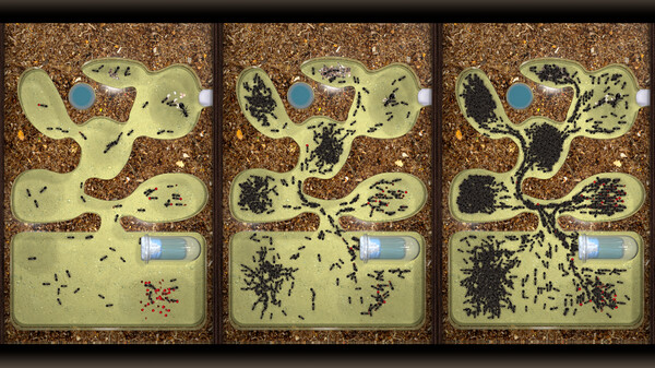 Ant Farm Simulator screenshot 1