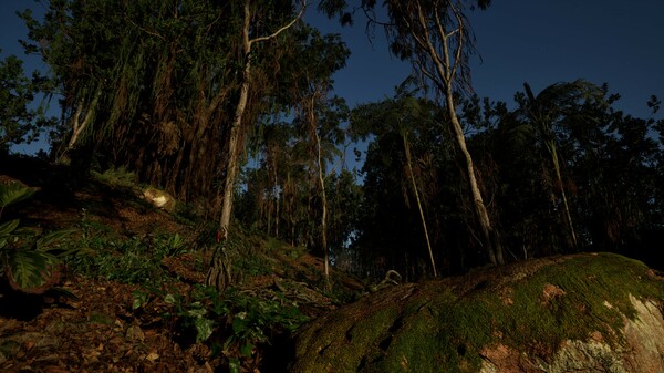 WAIDH screenshot 3