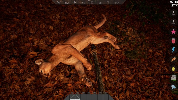 WAIDH screenshot 10