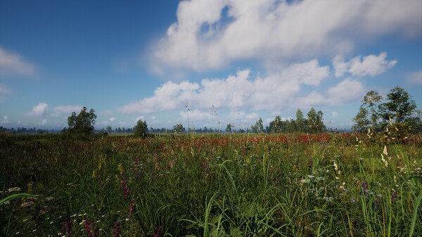 Russian Soul Simulator screenshot 1