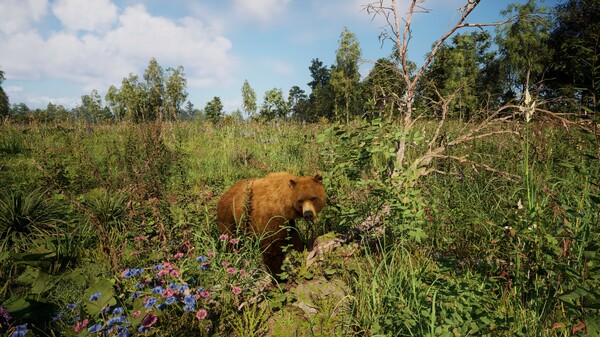 Russian Soul Simulator screenshot 5