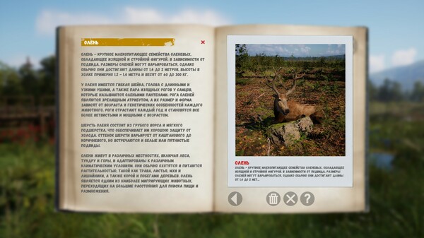 Russian Soul Simulator screenshot 3