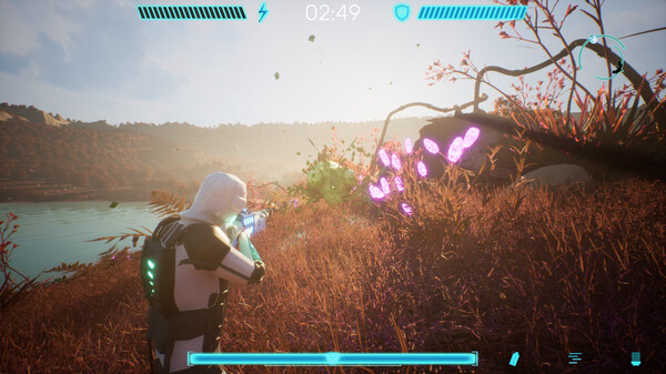 Beetle Nest screenshot 1