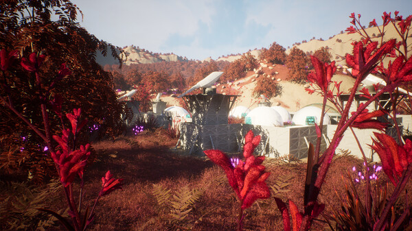 Beetle Nest screenshot 9